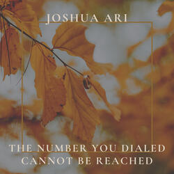 The Number You Dialed Cannot Be Reached