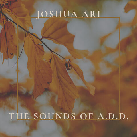 The Sounds of a.D.D.