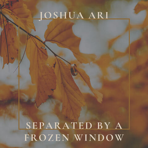 Separated by a Frozen Window