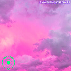 Flying Through the Clouds