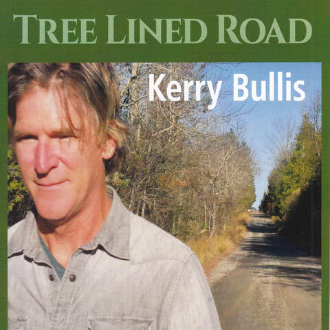 Tree Lined Road