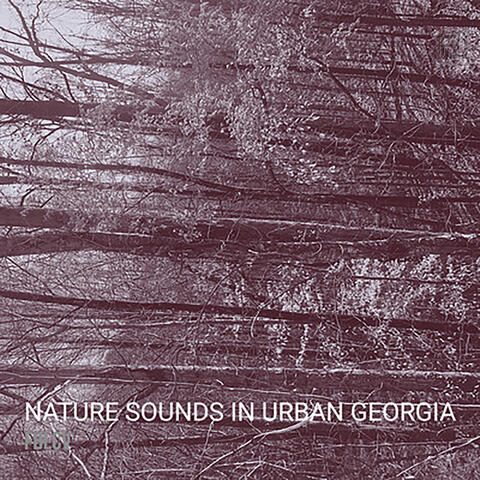 Nature Sounds in Urban Georgia
