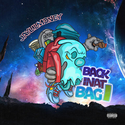 BackInat1Bag