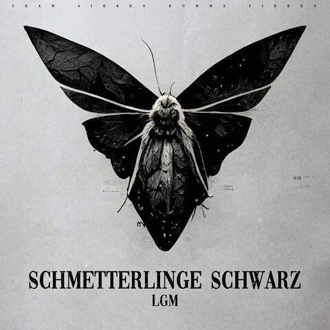 Schmetterlinge Schwarz