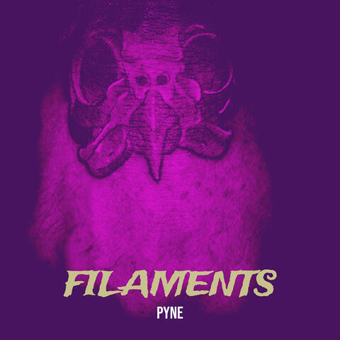 Filaments