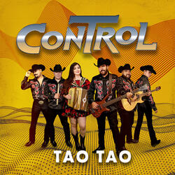 Tao Tao