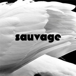 Sauvage