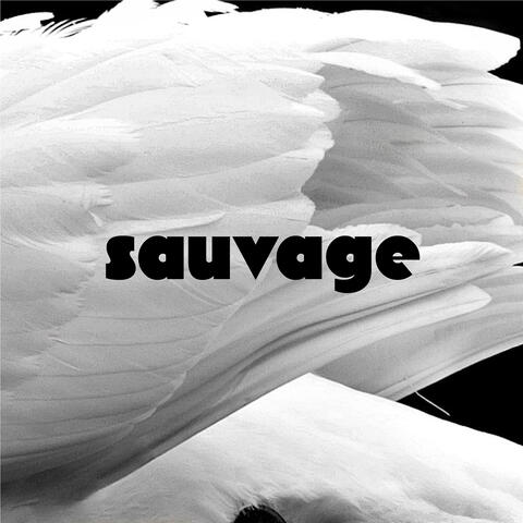 Sauvage