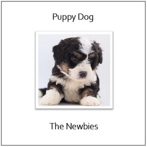 Puppy Dog