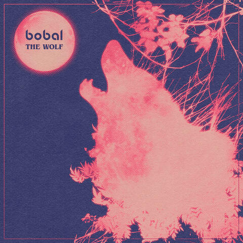 The Wolf