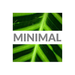 Minimal
