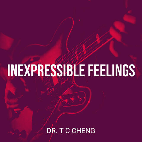 Inexpressible Feelings