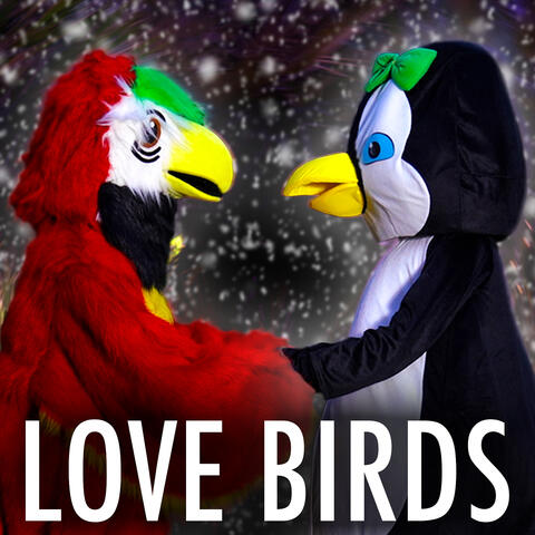Love Birds