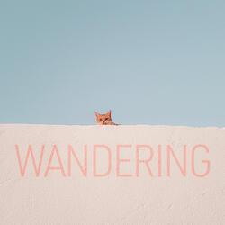 Wandering