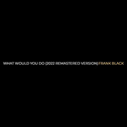 What Would You Do (2022 Remastered Version)