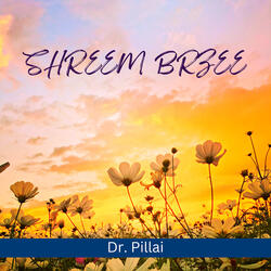 Shreem Brzee Mantra Chanting