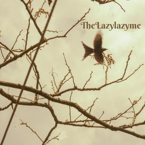 TheLazylazyme