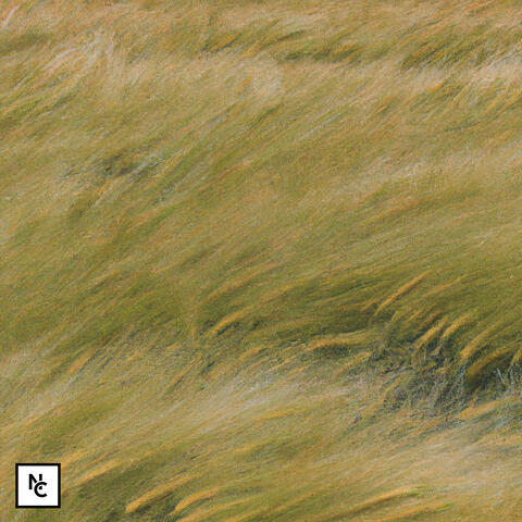 Swaying Fields