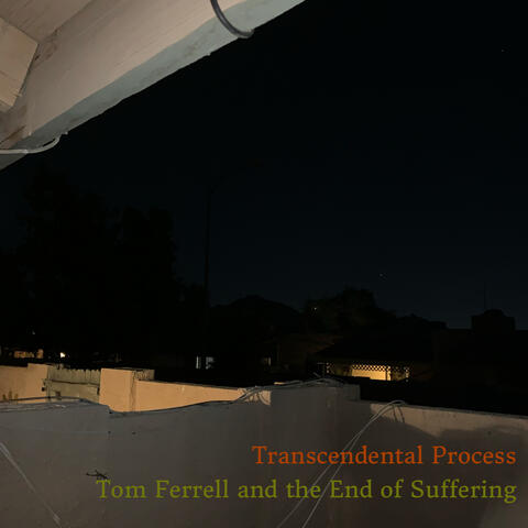 Transcendental Process