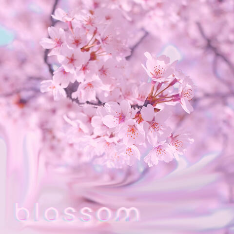 Blossom