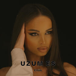 Uzum Es