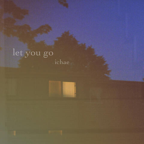 Let You Go