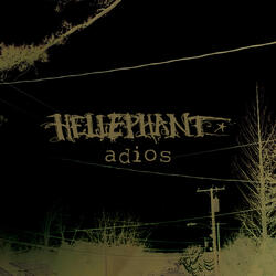 You Can’t Be Serious