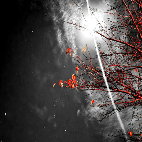 Late Nights #3