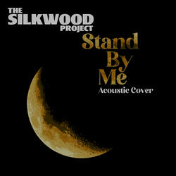 Stand by Me (Acoustic Cover)