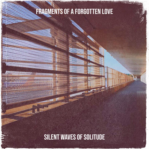 Fragments of a Forgotten Love