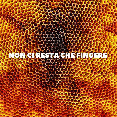 NON CI RESTA CHE FINGERE