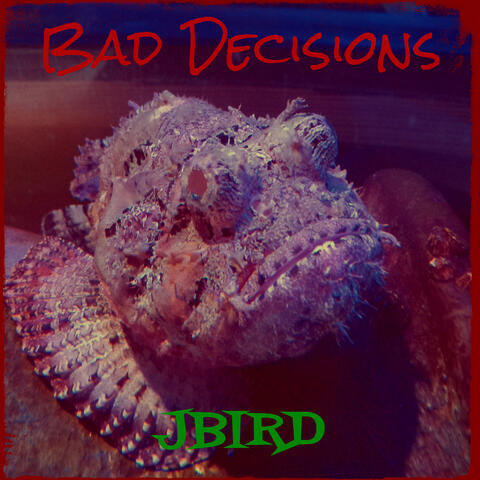 Bad Decisions