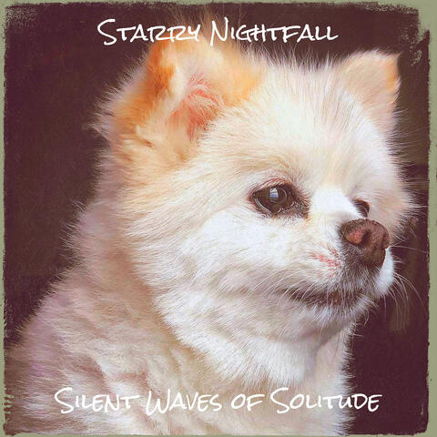 Starry Nightfall