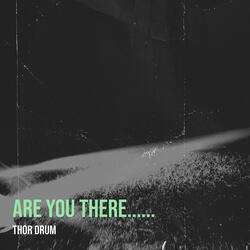 Are You There....