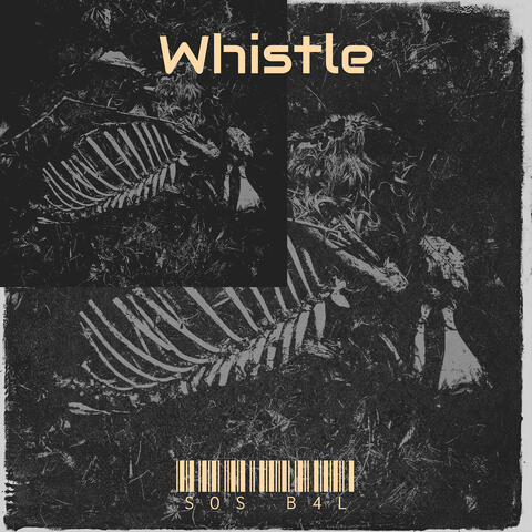 Whistle