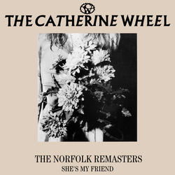 Salt (Norfolk Mix) [2023 Remaster]
