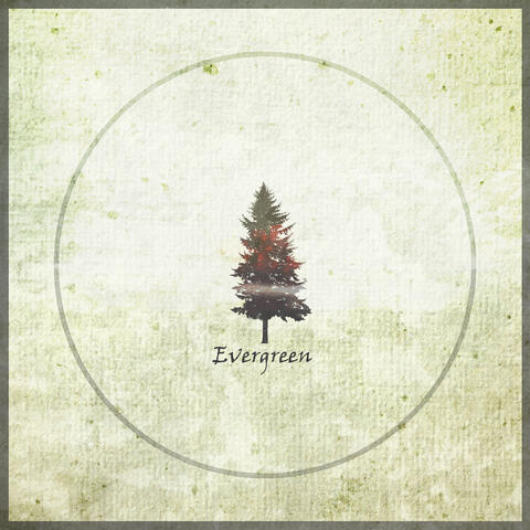 Evergreen