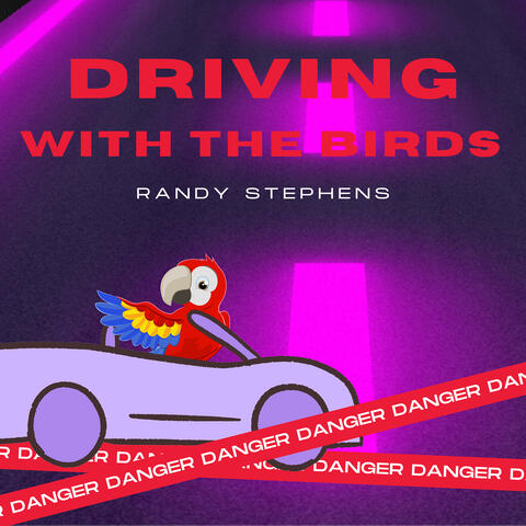 Driving with the Birds
