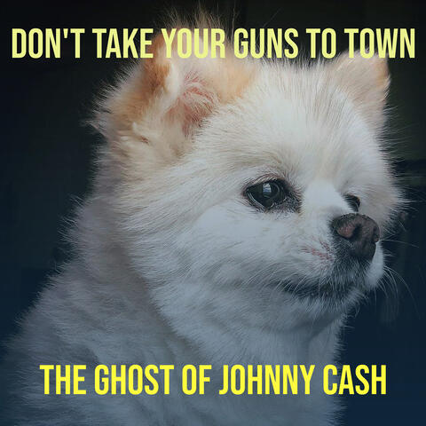 Don't Take Your Guns to Town