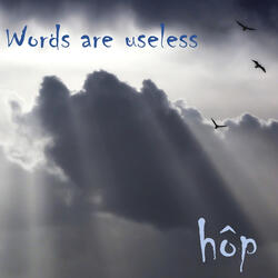 Words Are Useless