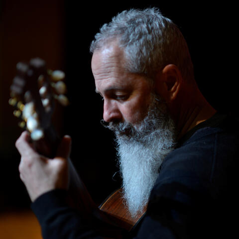 The Warrior's Harp