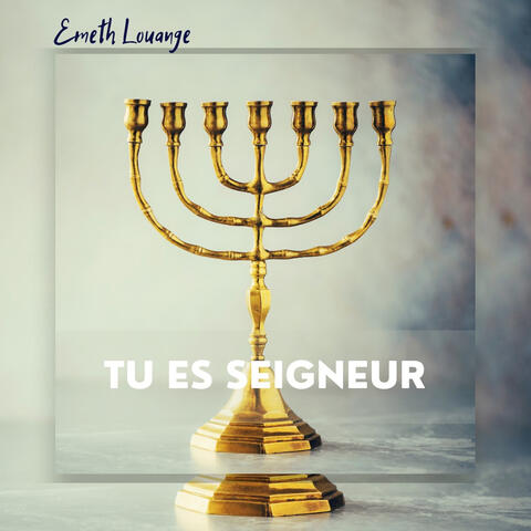 Tu es Seigneur