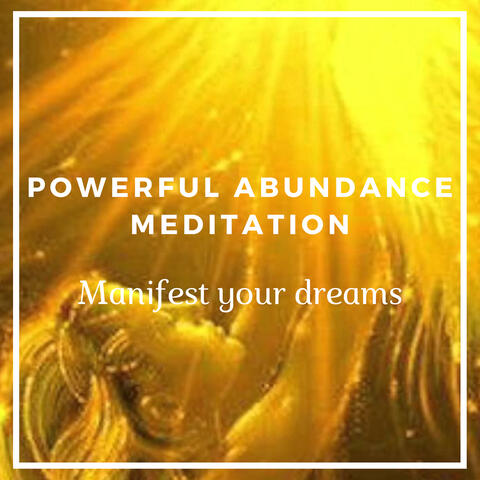 Powerful Abundance Meditation - Manifest Your Dreams!