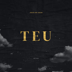 Meu Tudo (Ao Vivo)