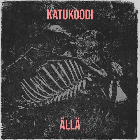 Katukoodi