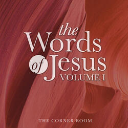 John 3:16-17 (English Standard Version)