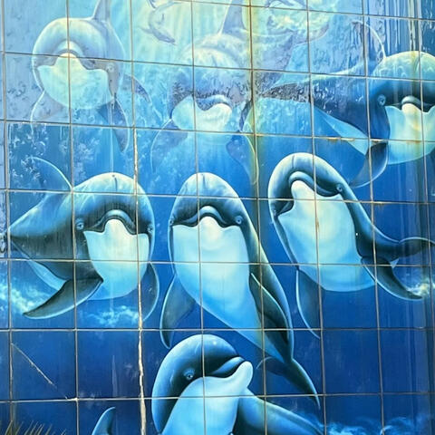 Arp