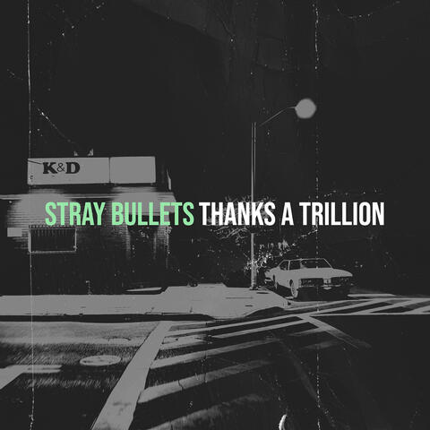 Stray Bullets