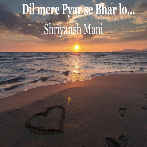Dil Mere Pyar Se Bhar Lo...