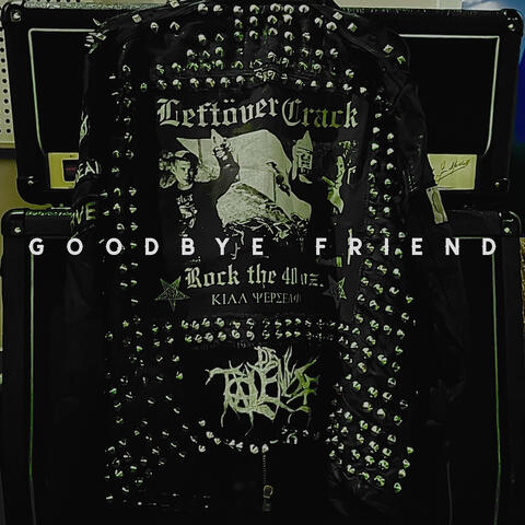 Goodbye Friend